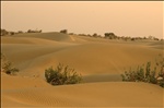 Thar Desert IV.